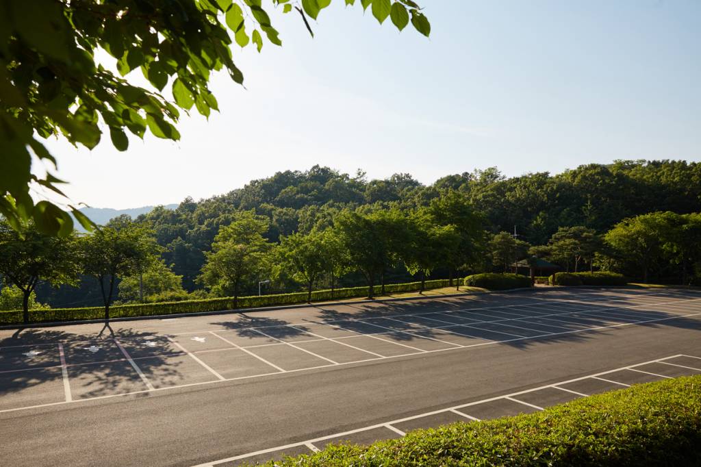 parking végétalisé biodiversité