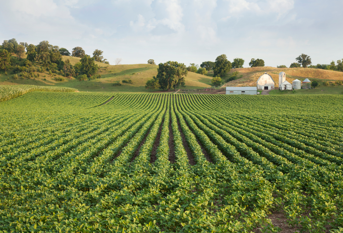 agribusiness brésilien
