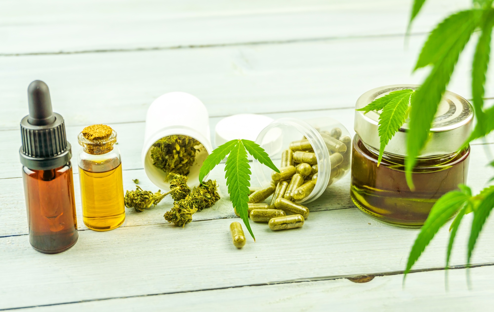 fournisseur de CBD